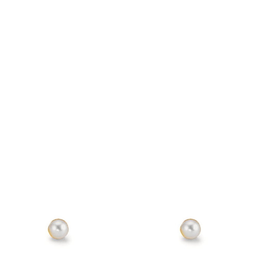 Örhängen med knoppar 375/9 K gult guld glänsande pärlor, 2 Pärlor 2-2.5 mm