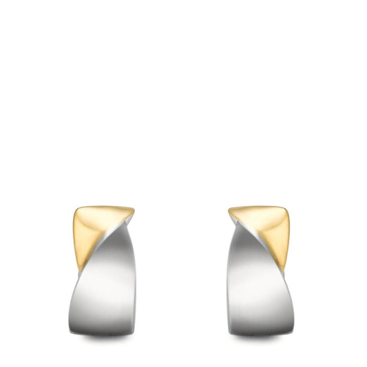 Hinged hoop Stainless steel Bicolor IP coated