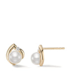 599758 main