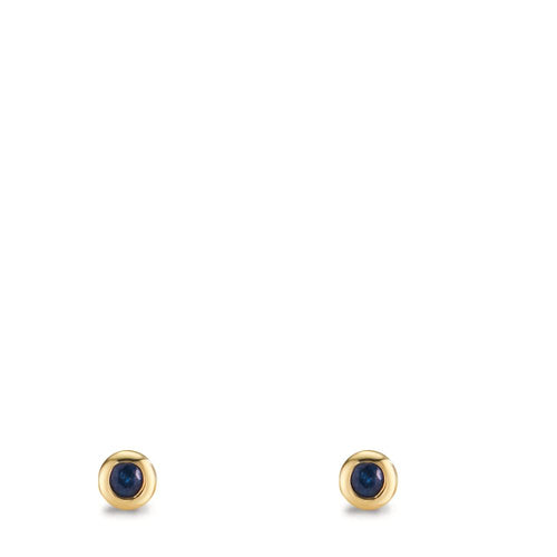 608495_a