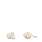 Pendientes Oro amarillo de 375/9K Perla cultivada de agua dulce, 6 Perlas 2-4 mm