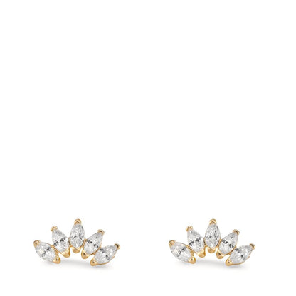 Clous d'oreilles Or jaune 9K Zircone 10 Pierres