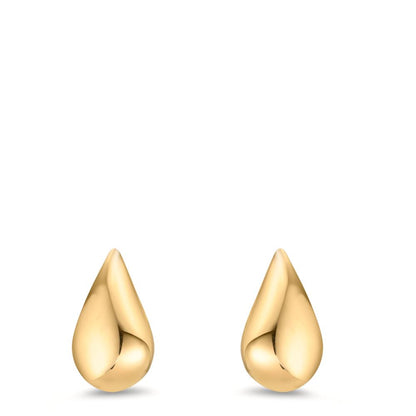 Clous d'oreilles Or jaune 9K