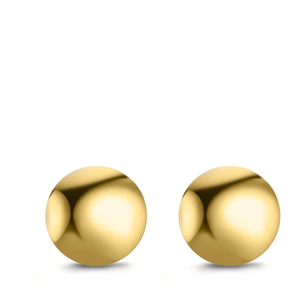 613031_d