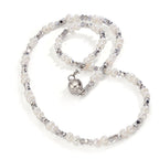 613485_b